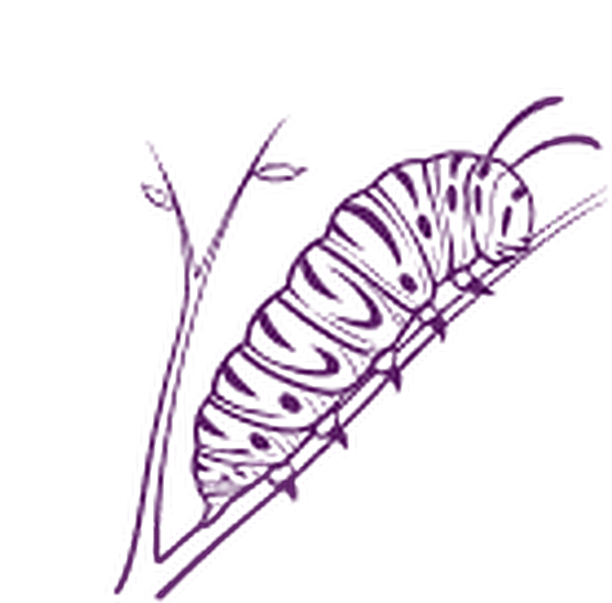 Rups - Migraine Specialist